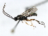  ( - 07PROBE-23012)  @13 [ ] CreativeCommons - Attribution (2009) Unspecified Centre for Biodiversity Genomics