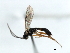  ( - 07PROBE-23145)  @12 [ ] CreativeCommons - Attribution (2009) Unspecified Centre for Biodiversity Genomics