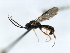  ( - 07PROBE-23158)  @12 [ ] CreativeCommons - Attribution (2009) Unspecified Centre for Biodiversity Genomics