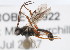  ( - 07PROBE-22922)  @12 [ ] CreativeCommons - Attribution (2009) Unspecified Centre for Biodiversity Genomics