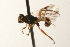  ( - 07PROBE-22979)  @13 [ ] CreativeCommons - Attribution (2009) Unspecified Centre for Biodiversity Genomics