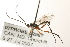  ( - 07PROBE-22981)  @14 [ ] CreativeCommons - Attribution (2009) Unspecified Centre for Biodiversity Genomics