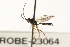  ( - 07PROBE-23064)  @13 [ ] CreativeCommons - Attribution (2009) Unspecified Centre for Biodiversity Genomics