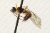  ( - 07PROBE-23130)  @12 [ ] CreativeCommons - Attribution (2009) Unspecified Centre for Biodiversity Genomics