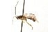  ( - 07PROBE-23138)  @12 [ ] CreativeCommons - Attribution (2009) Unspecified Centre for Biodiversity Genomics