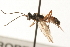  ( - 07PROBE-23140)  @13 [ ] CreativeCommons - Attribution (2009) Unspecified Centre for Biodiversity Genomics