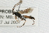  ( - 07PROBE-22565)  @13 [ ] CreativeCommons - Attribution (2009) Unspecified Centre for Biodiversity Genomics