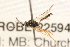  ( - 07PROBE-22594)  @13 [ ] CreativeCommons - Attribution (2009) Unspecified Centre for Biodiversity Genomics