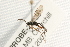  ( - 07PROBE-22625)  @13 [ ] CreativeCommons - Attribution (2009) Unspecified Centre for Biodiversity Genomics