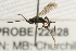  ( - 07PROBE-22628)  @13 [ ] CreativeCommons - Attribution (2009) Unspecified Centre for Biodiversity Genomics