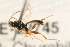  ( - 07PROBE-22745)  @13 [ ] CreativeCommons - Attribution (2009) Unspecified Centre for Biodiversity Genomics