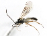  ( - 07PROBE-23624)  @12 [ ] CreativeCommons - Attribution (2010) Unspecified Centre for Biodiversity Genomics