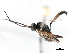 ( - 07PROBE-23670)  @13 [ ] CreativeCommons - Attribution (2010) Unspecified Centre for Biodiversity Genomics