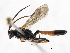  ( - 07PROBE-23759)  @13 [ ] CreativeCommons - Attribution (2010) Unspecified Centre for Biodiversity Genomics