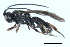  ( - 07PROBE-23828)  @12 [ ] CreativeCommons - Attribution (2010) Unspecified Centre for Biodiversity Genomics