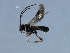  ( - 07PROBE-23830)  @12 [ ] CreativeCommons - Attribution (2010) Unspecified Centre for Biodiversity Genomics