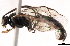  ( - CNCH0412)  @13 [ ] CreativeCommons - Attribution (2010) Unspecified Centre for Biodiversity Genomics