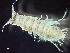  ( - HMSC174_01825)  @11 [ ] by-nc-sa  Unspecified Huntsman Marine Science Centre