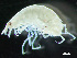 ( - HMSC174_01900)  @11 [ ] by-nc-sa  Unspecified Huntsman Marine Science Centre