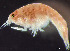  ( - HMSC174_01912)  @11 [ ] by-nc-sa  Unspecified Huntsman Marine Science Centre