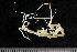  ( - HMSC174_02144)  @11 [ ] by-nc-sa  Unspecified Huntsman Marine Science Centre
