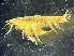  ( - HMSC174_02230)  @11 [ ] by-nc-sa  Unspecified Huntsman Marine Science Centre