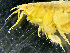  ( - HMSC174_02230)  @11 [ ] by-nc-sa  Unspecified Huntsman Marine Science Centre