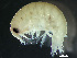  ( - HMSC174_02284)  @11 [ ] by-nc-sa  Unspecified Huntsman Marine Science Centre