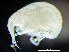  ( - HMSC174_02379)  @11 [ ] by-nc-sa  Unspecified Huntsman Marine Science Centre