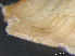  ( - HMSC174-03358)  @11 [ ] by-nc-sa  Unspecified Huntsman Marine Science Centre