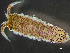  ( - HMSC174-03439)  @11 [ ] by-nc-sa  Unspecified Huntsman Marine Science Centre