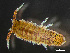  ( - HMSC174-03441)  @11 [ ] by-nc-sa  Unspecified Huntsman Marine Science Centre
