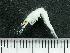  ( - HMSC174-03501)  @11 [ ] by-nc-sa  Unspecified Huntsman Marine Science Centre