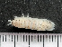  ( - HMSC174-03514)  @11 [ ] by-nc-sa  Unspecified Huntsman Marine Science Centre