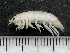  ( - HMSC174-03515)  @11 [ ] by-nc-sa  Unspecified Huntsman Marine Science Centre