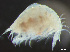  ( - HMSC174-03792)  @11 [ ] by-nc-sa  Unspecified Huntsman Marine Science Centre