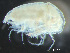  ( - HMSC174-03798)  @11 [ ] by-nc-sa  Unspecified Huntsman Marine Science Centre