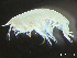  ( - HMSC174-03801)  @11 [ ] by-nc-sa  Unspecified Huntsman Marine Science Centre