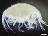  ( - HMSC174-03803)  @11 [ ] by-nc-sa  Unspecified Huntsman Marine Science Centre