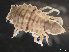  ( - HMSC174-03883)  @11 [ ] by-nc-sa  Unspecified Huntsman Marine Science Centre