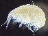  ( - HMSC174-02431)  @11 [ ] by-nc-sa  Unspecified Huntsman Marine Science Centre