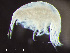  ( - HMSC174-02436)  @11 [ ] by-nc-sa  Unspecified Huntsman Marine Science Centre