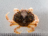  ( - HMSC174-00028)  @11 [ ] by-nc-sa  Unspecified Huntsman Marine Science Centre