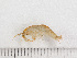  ( - HMSC174-00304)  @11 [ ] by-nc-sa  Unspecified Huntsman Marine Science Centre