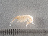  ( - HMSC174-00305)  @11 [ ] by-nc-sa  Unspecified Huntsman Marine Science Centre