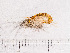  ( - HMSC174-00305)  @11 [ ] by-nc-sa  Unspecified Huntsman Marine Science Centre