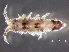  ( - HMSC174-00370)  @11 [ ] by-nc-sa  Unspecified Huntsman Marine Science Centre
