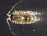  ( - HMSC174-00377)  @11 [ ] by-nc-sa  Unspecified Huntsman Marine Science Centre