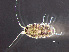  ( - HMSC174-00378)  @11 [ ] by-nc-sa  Unspecified Huntsman Marine Science Centre