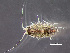  ( - HMSC174-00380)  @11 [ ] by-nc-sa  Unspecified Huntsman Marine Science Centre